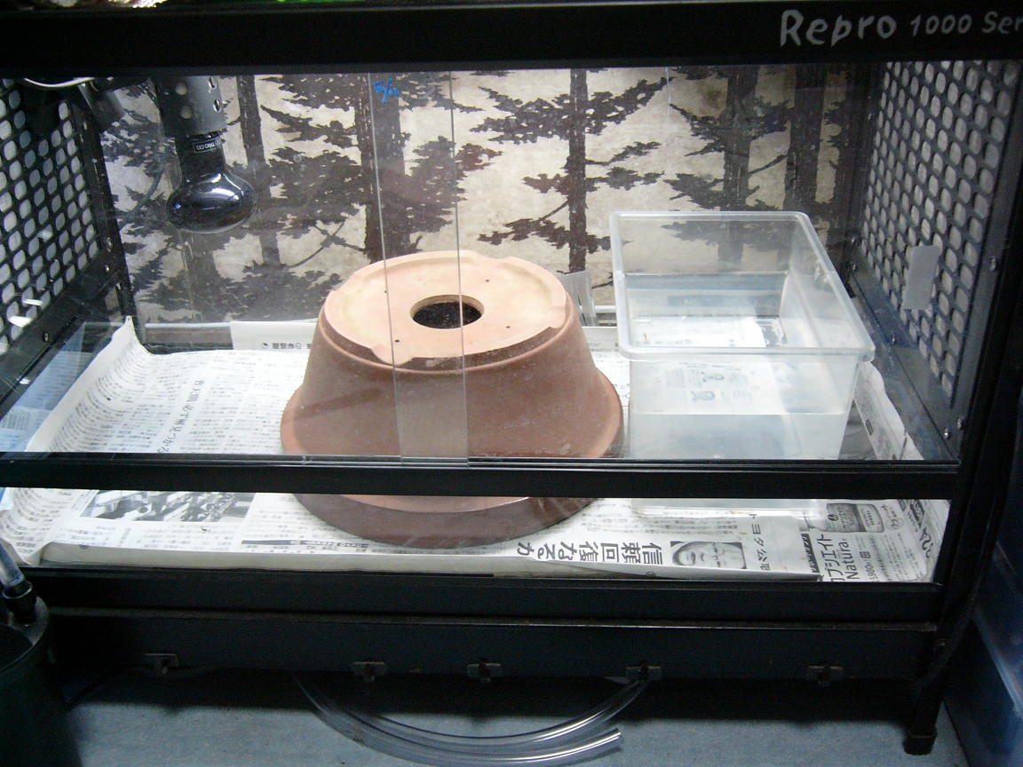 f0096947_20451149.jpg