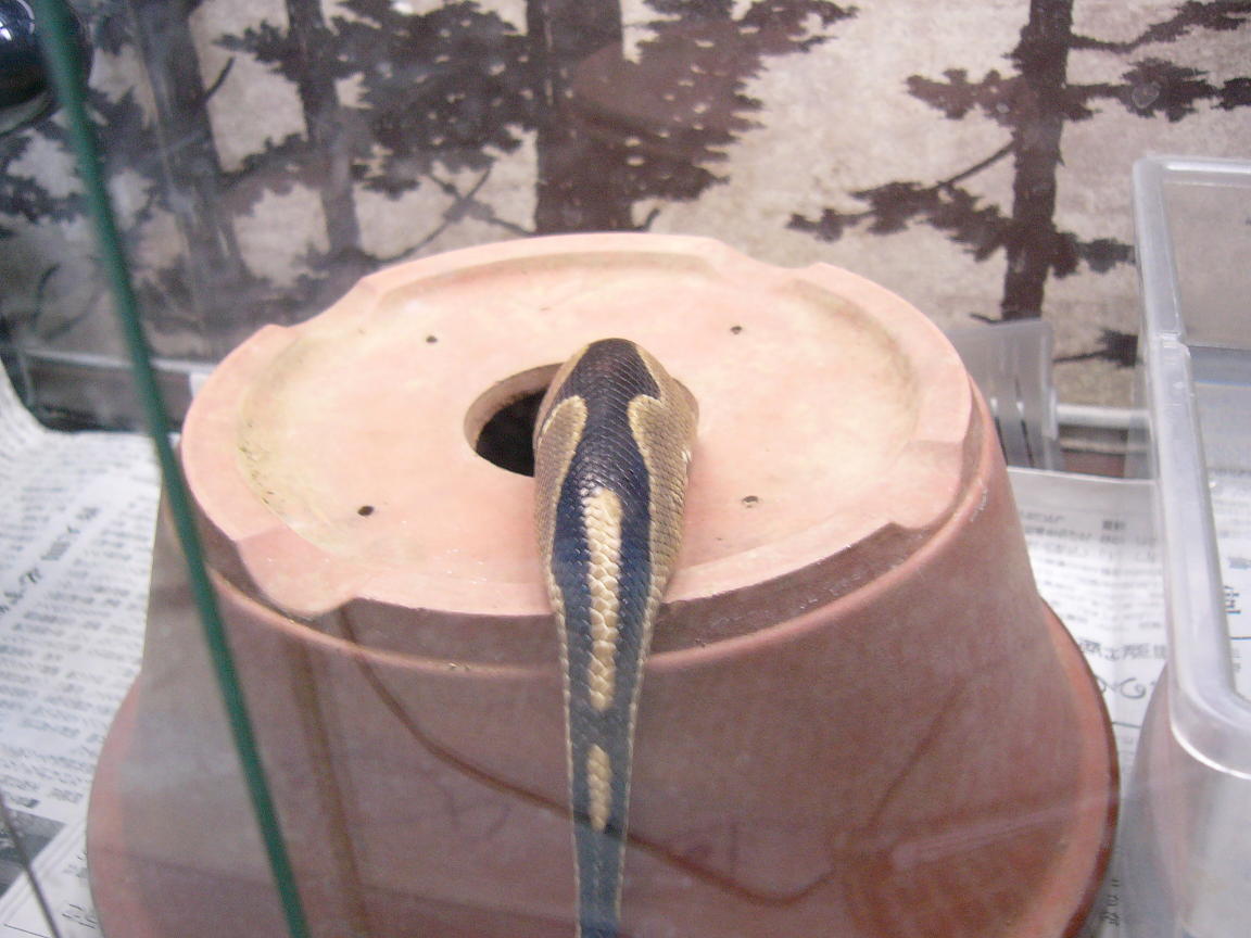 f0096947_20471582.jpg