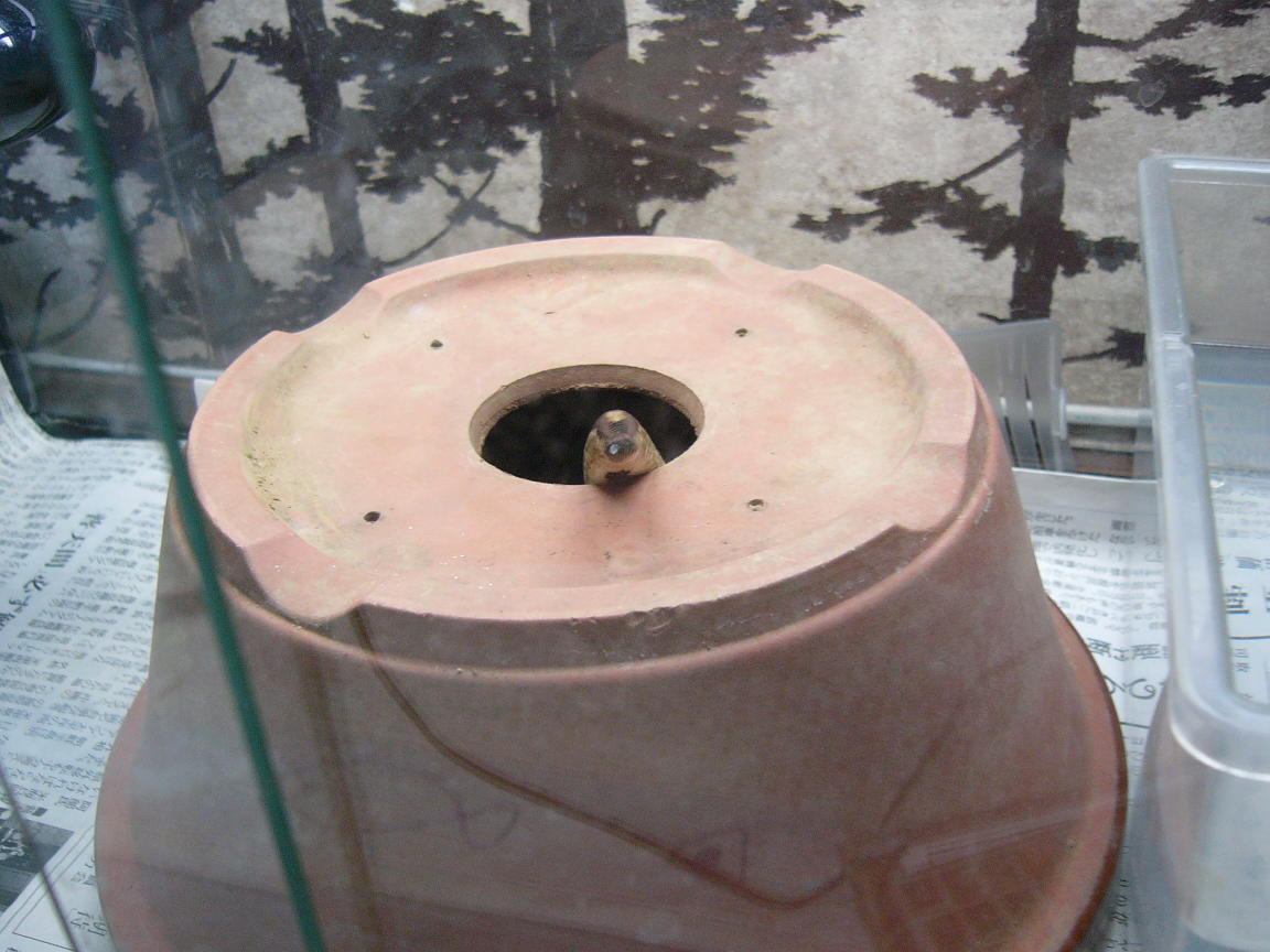 f0096947_20472786.jpg
