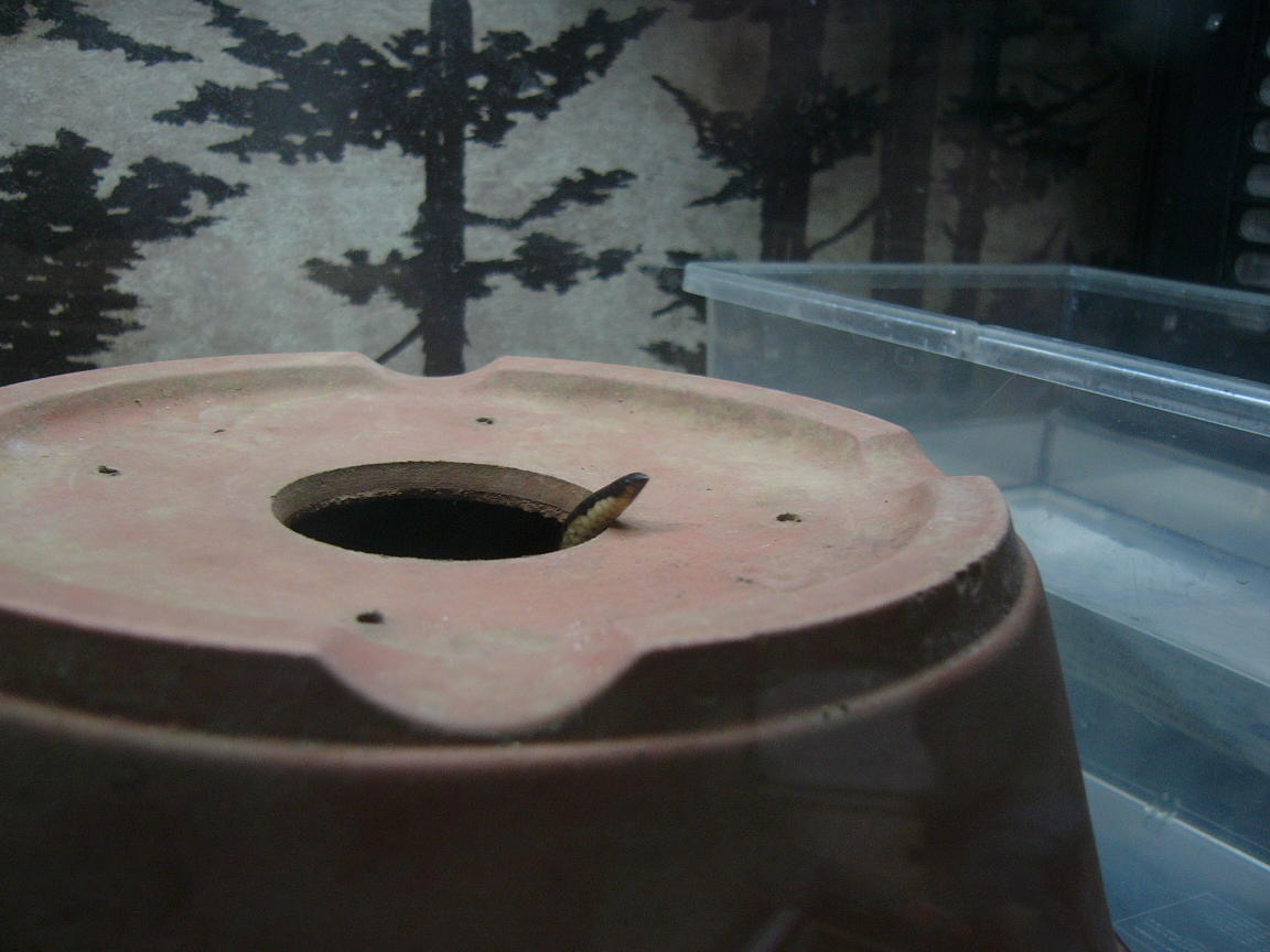 f0096947_2047371.jpg