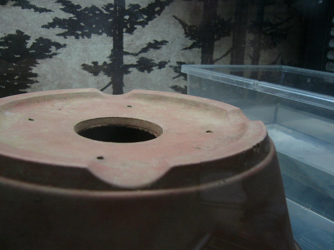 f0096947_20474553.jpg