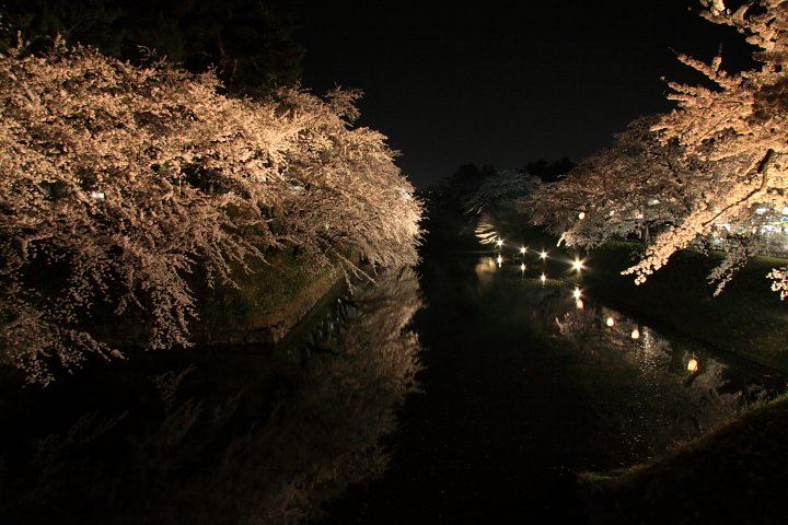 弘前公園の桜_b0126256_23265145.jpg