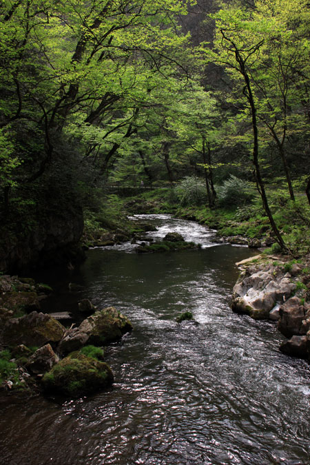 f0147858_22433271.jpg