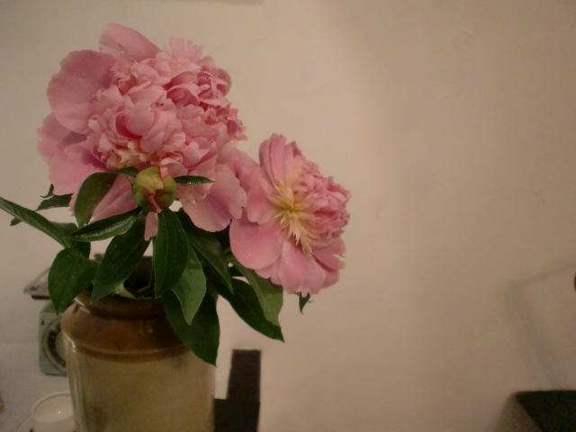 c0172261_9304053.jpg