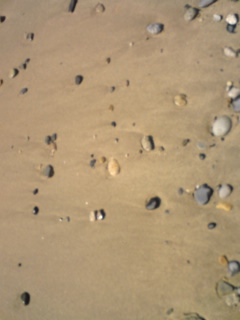 a0045965_49953.jpg