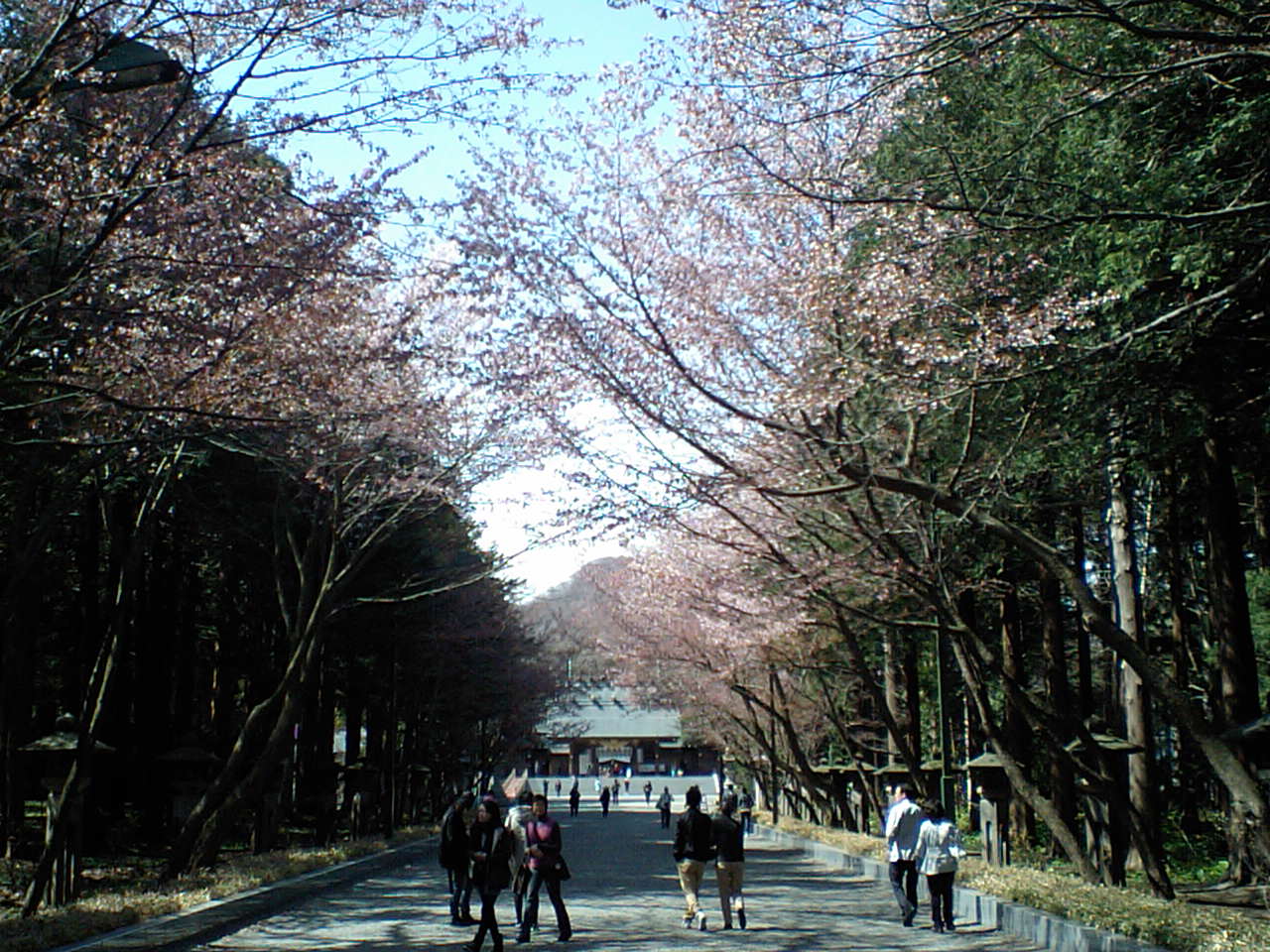 d0098665_19555540.jpg