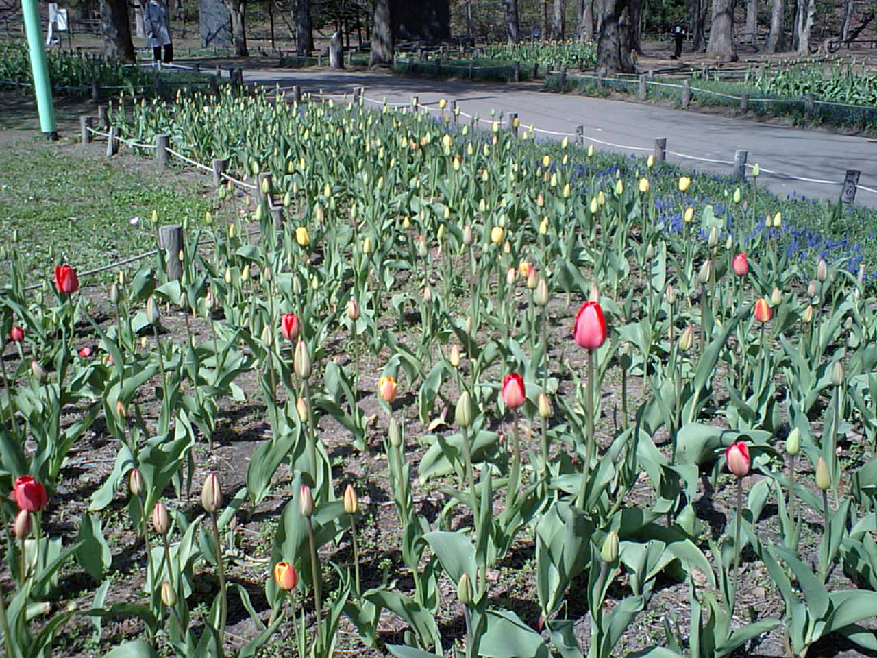 d0098665_19561875.jpg