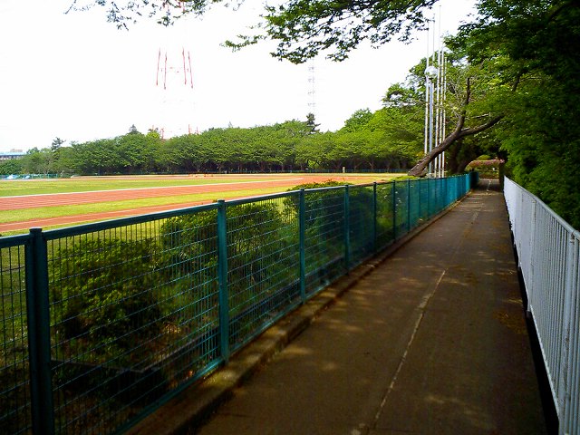 b0155973_22443090.jpg