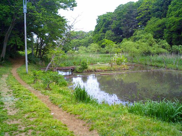 b0155973_22445831.jpg