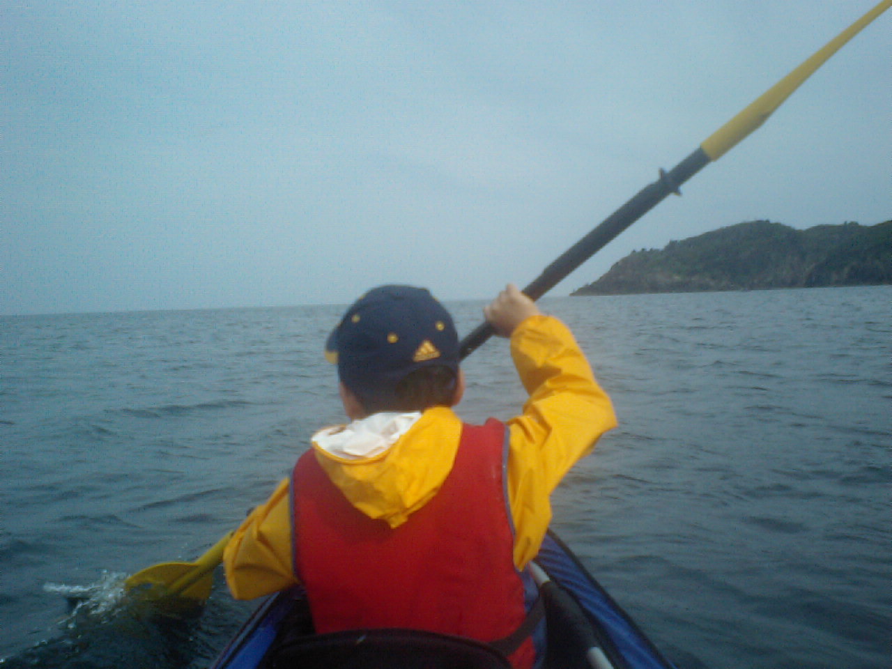 b0125180_205103.jpg