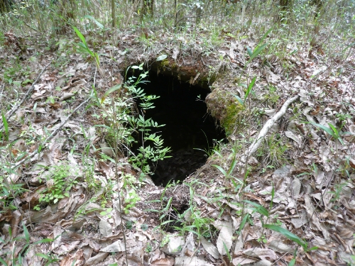 f0097683_9511496.jpg