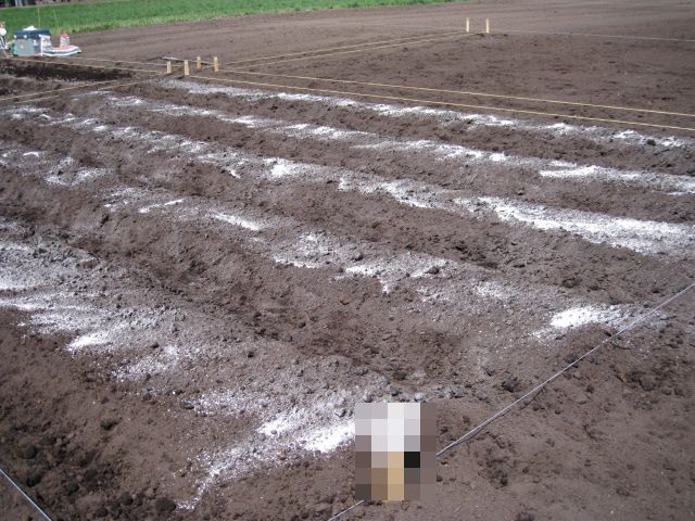 a0008185_995391.jpg