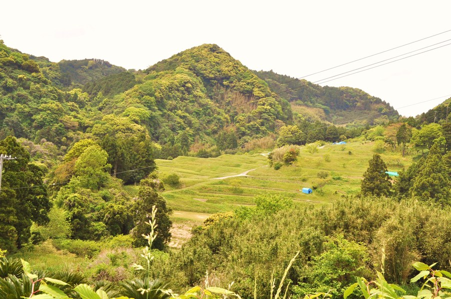 a0052486_230828.jpg