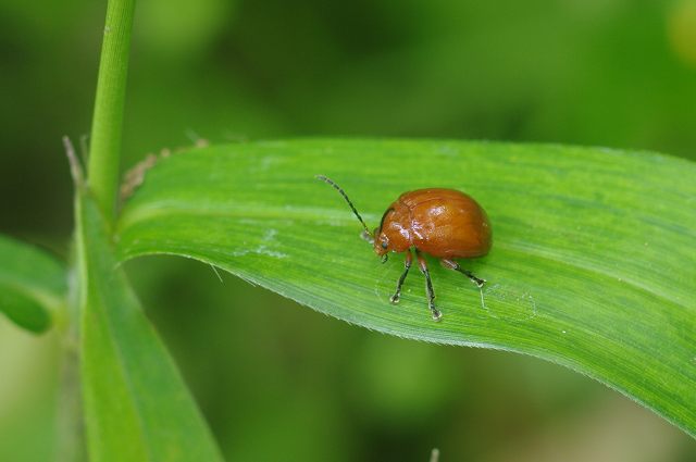 e0070891_2012546.jpg