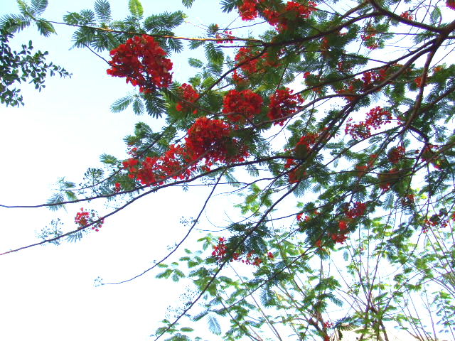 e0074192_23245048.jpg