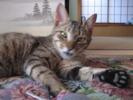 c0004193_16421669.jpg