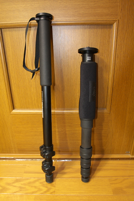 一脚 GITZO GM5541インプレッション : 無題