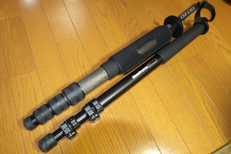 Gitzo GM5541 一脚 一脚 GITZO GM5541インプレッション : 無題