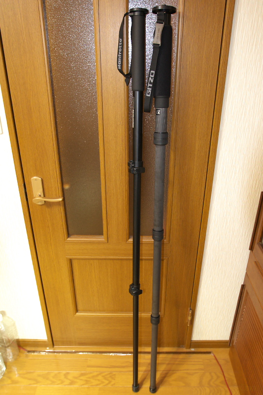 Gitzo GM5541 一脚 一脚 GITZO GM5541インプレッション : 無題