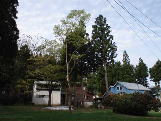 a0061599_745777.jpg
