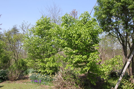 e0054299_9295045.jpg