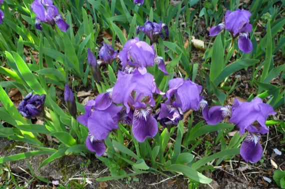 e0054299_9375319.jpg