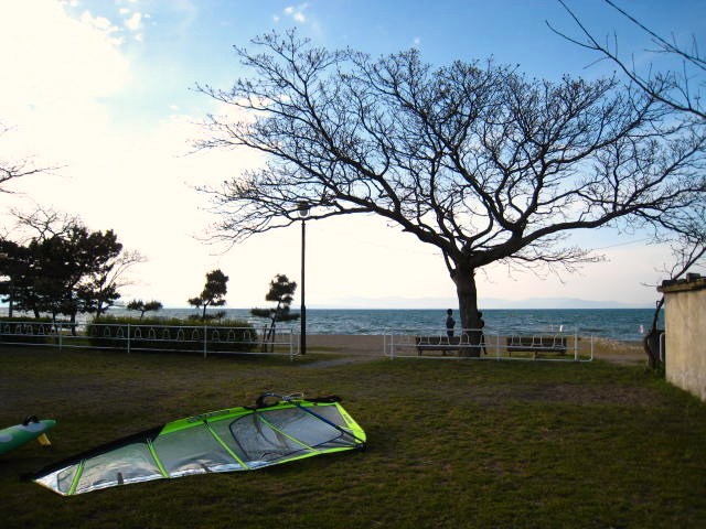 新緑の新海浜は最高でした。浜とか_d0121300_2231572.jpg