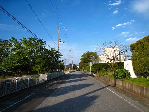 新緑の新海浜は最高でした。浜とか_d0121300_2246629.jpg