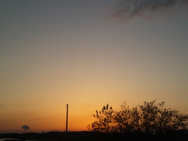 f0197703_20403456.jpg