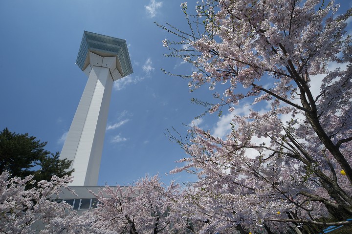 五稜郭公園(広角編)_c0157704_227144.jpg