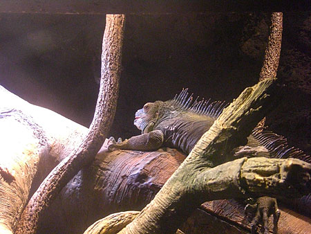 a0041508_1754884.jpg