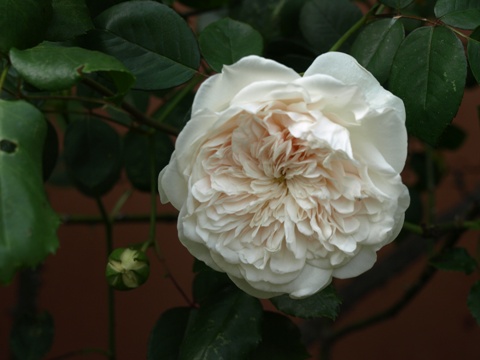 b0026408_22115150.jpg