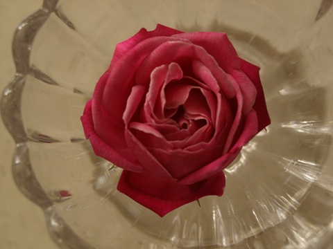 b0026408_2215269.jpg