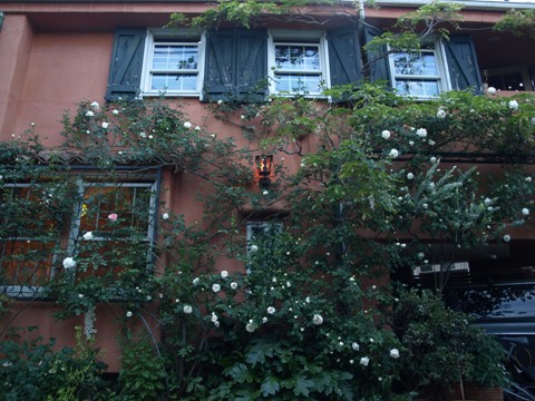 b0026408_22215791.jpg