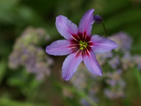 b0026408_22312118.jpg
