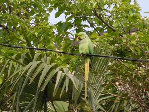 b0026408_22351775.jpg