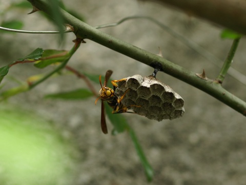 b0026408_22395733.jpg