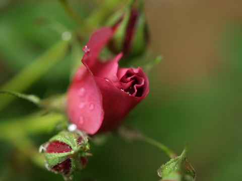 b0026408_22413634.jpg