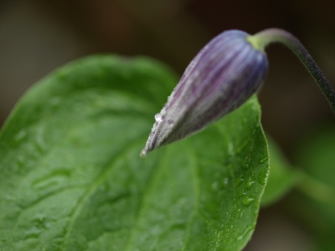 b0026408_22441375.jpg