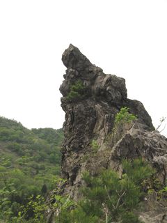 d0159609_0503163.jpg