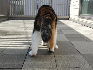 c0201113_2123023.jpg