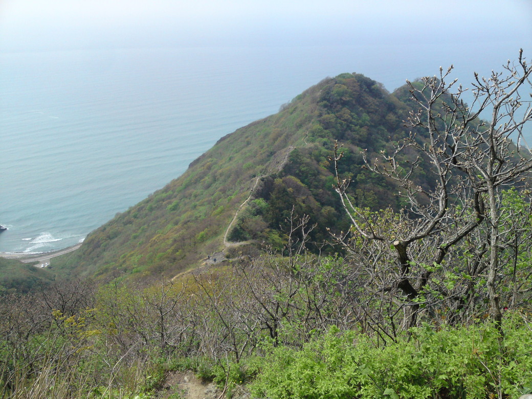 角田山トレイルラン 2010/5/4_f0225414_22165298.jpg