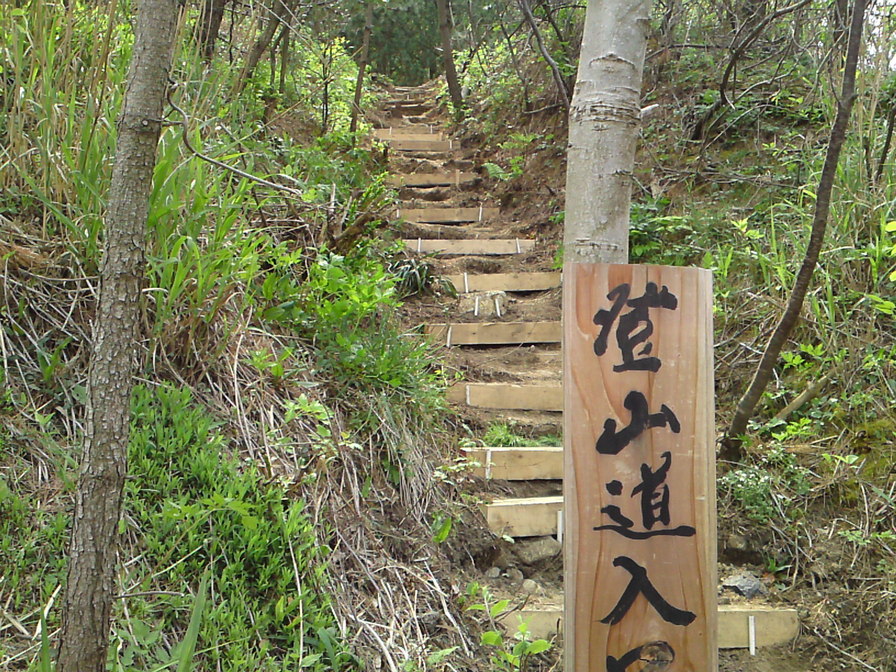 角田山トレイルラン 2010/5/4_f0225414_2221838.jpg