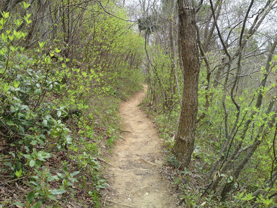 f0225414_2241765.jpg