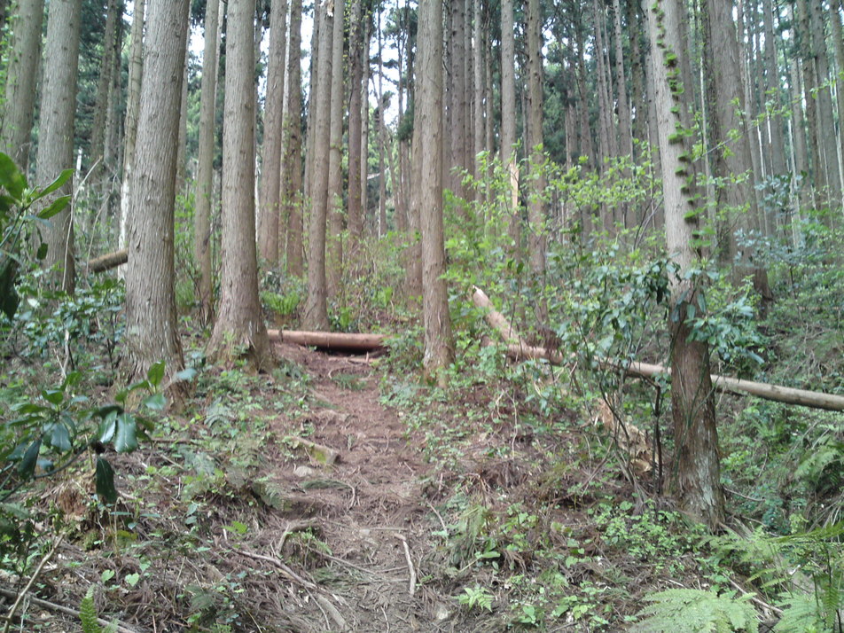 f0225414_2264725.jpg