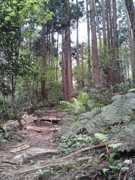 f0225414_2275596.jpg