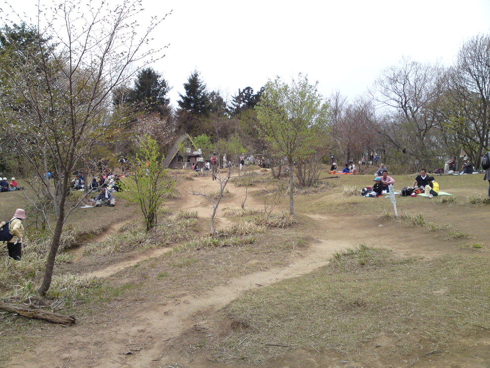 f0225414_2293446.jpg