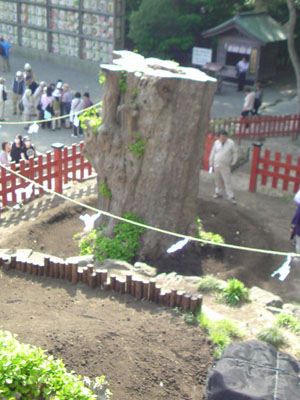 c0107615_036097.jpg