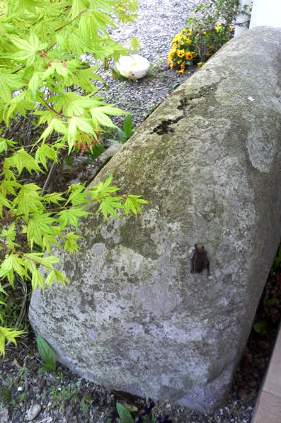 e0115516_2113661.jpg