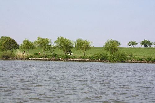 f0162319_9175999.jpg